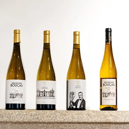 Solar Boucas By Quantique Amares