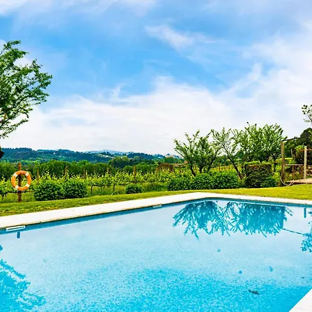 Solar Boucas By Quantique Amares