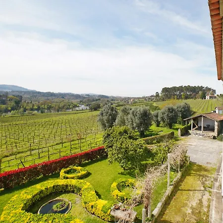 Solar Boucas By Quantique Amares