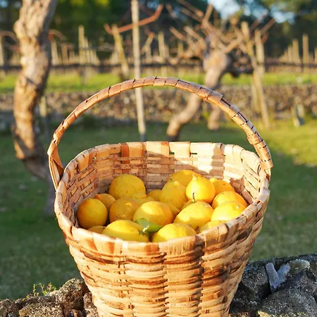 Gospodarstwo wiejskie Solar Boucas By Quantique *