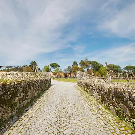 Country house Solar Boucas By Quantique Amares