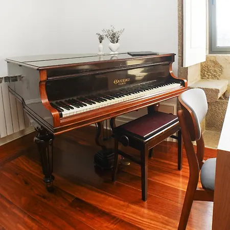 Solar Boucas By Quantique Amares