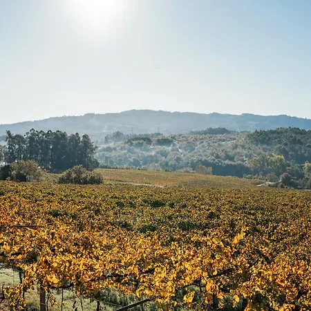 Venkovský dům Solar Boucas By Quantique *