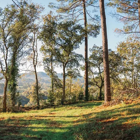 Venkovský dům Solar Boucas By Quantique Amares