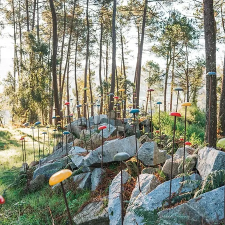 Solar Boucas By Quantique *