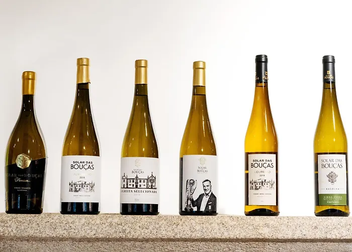 Solar Boucas By Quantique Amares