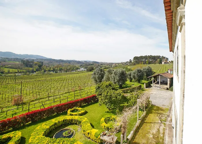 Solar Boucas By Quantique Amares