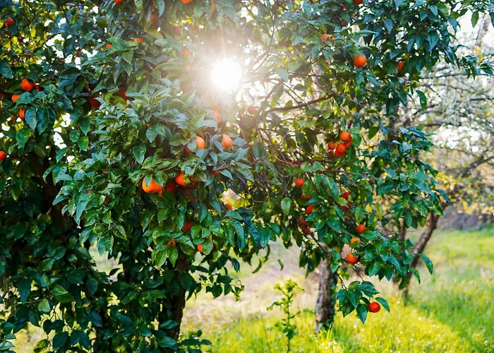 Hétvégi ház Solar Boucas By Quantique Amares