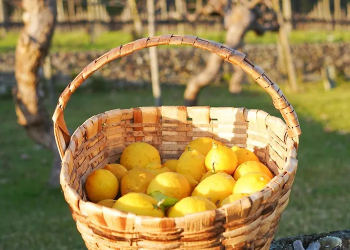 カントリーハウス Solar Boucas By Quantique *