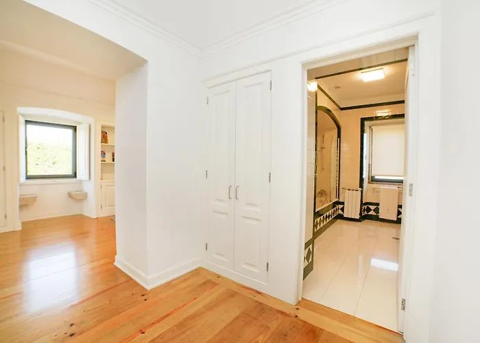 Solar Boucas By Quantique Amares