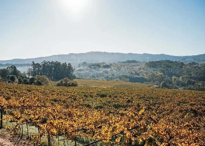 Hétvégi ház Solar Boucas By Quantique *