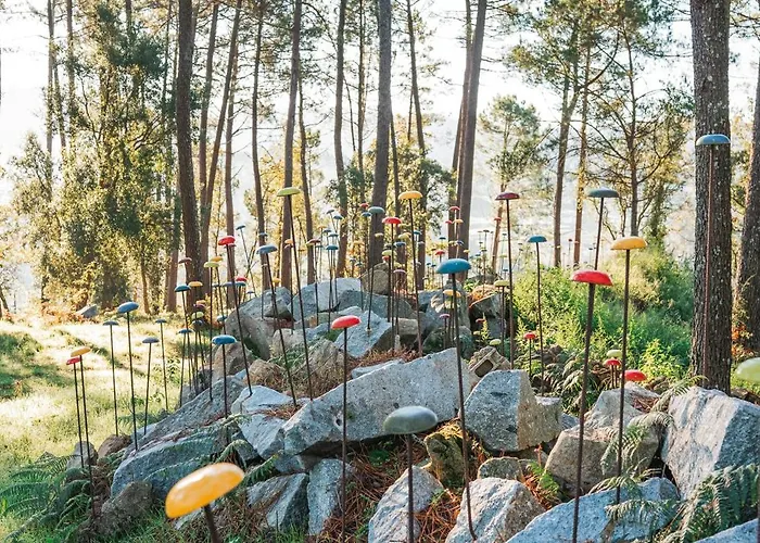 Solar Boucas By Quantique *