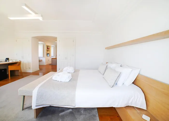 Solar Boucas By Quantique Amares